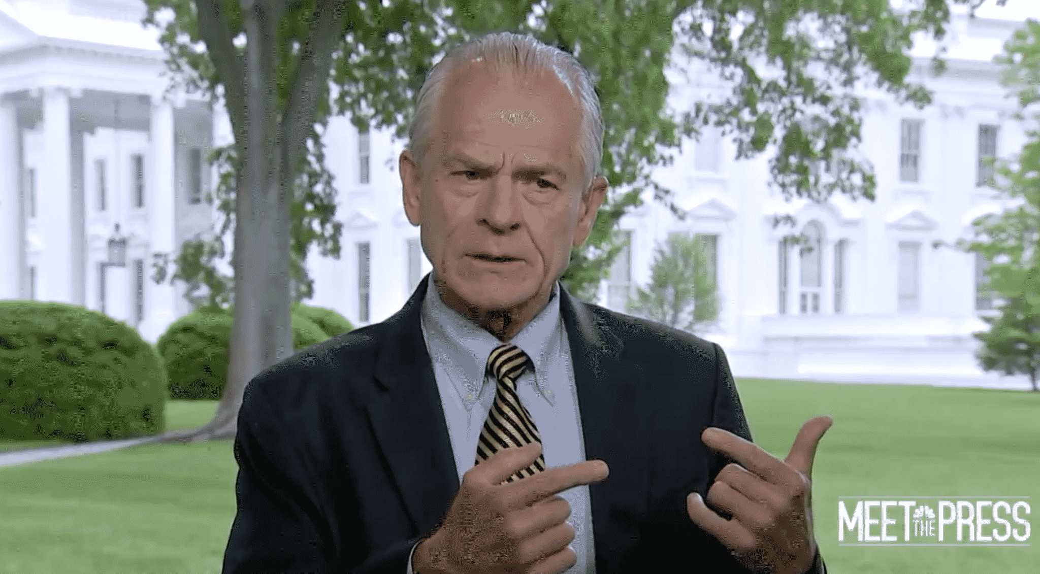 WH Trade Adviser: The CDC ‘Really Let the Country Down With the Testing’