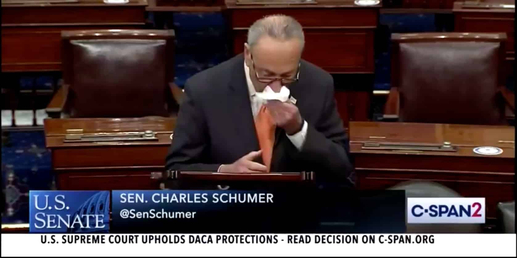 Schumer Gets Emotional on Senate Floor After Supreme Court DACA Ruling
