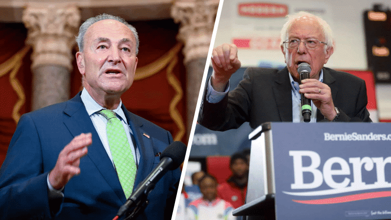 Schumer, Sanders Advocate for Committee to Examine Election Security and Integrity