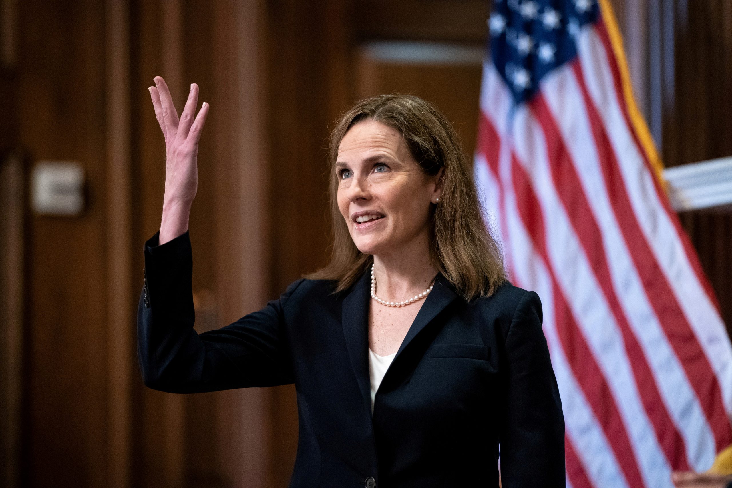 US Senate Panel Poised To Advance Trump Supreme Court Pick as Democrats Boycott