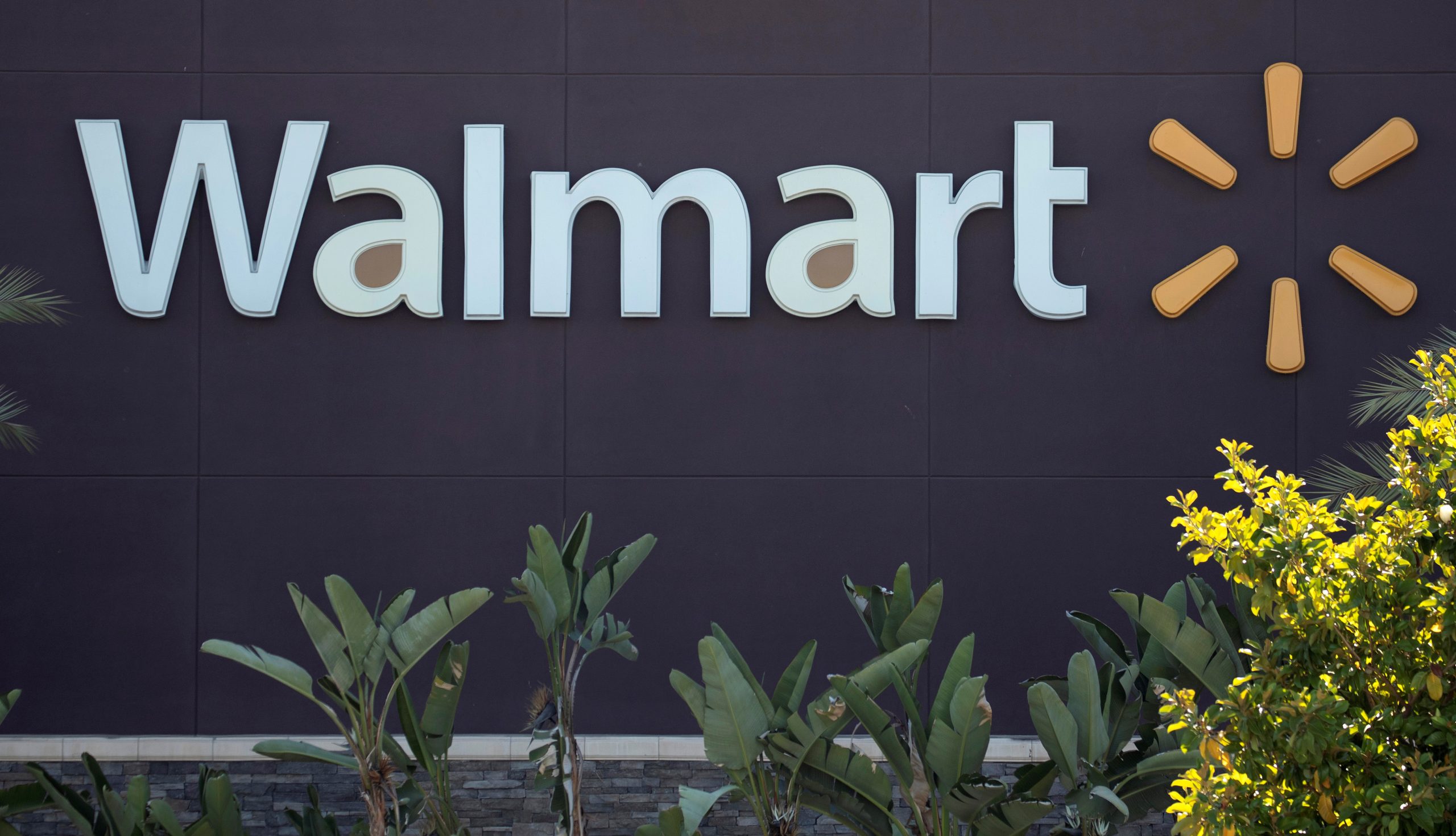 Walmart Removes Firearms, Ammunition From US Stores as Social Unrest Flares