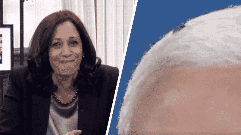 Kamala Harris Reveals She Saw the Fly on Pence’s Head During the Debate