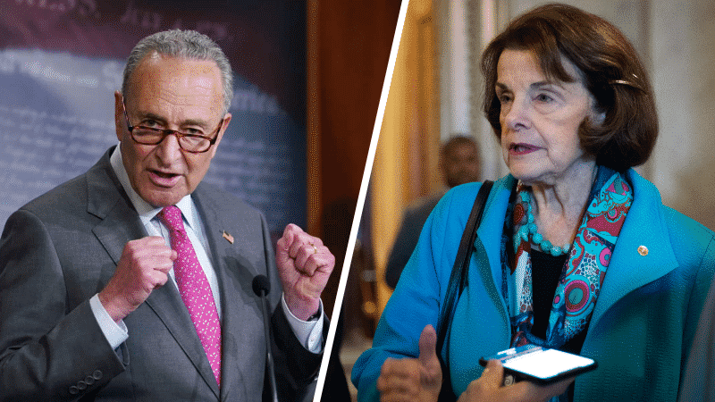 Schumer, Feinstein Push for Delay in Supreme Court Nomination Process in Wake of COVID-19 Cases