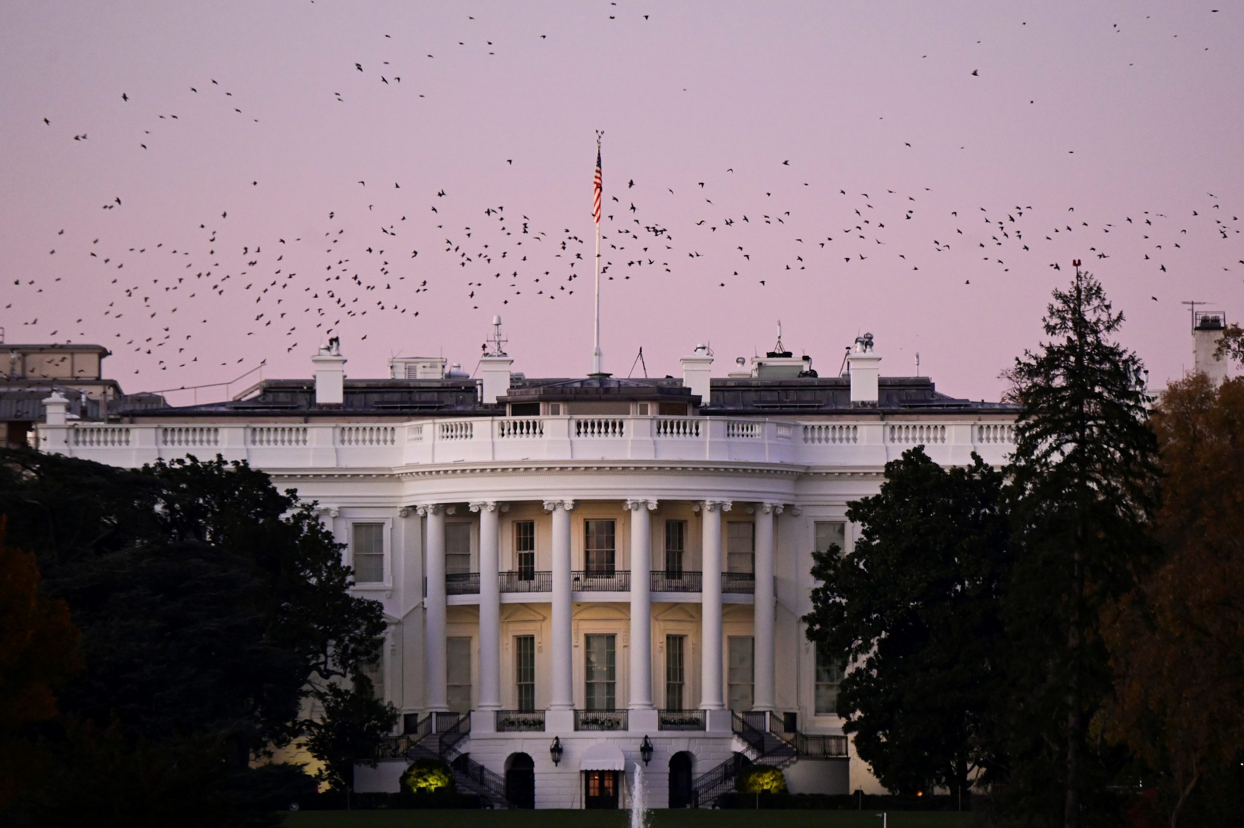 Biden Names Top Campaign Staff, US Congressman To White House Roles