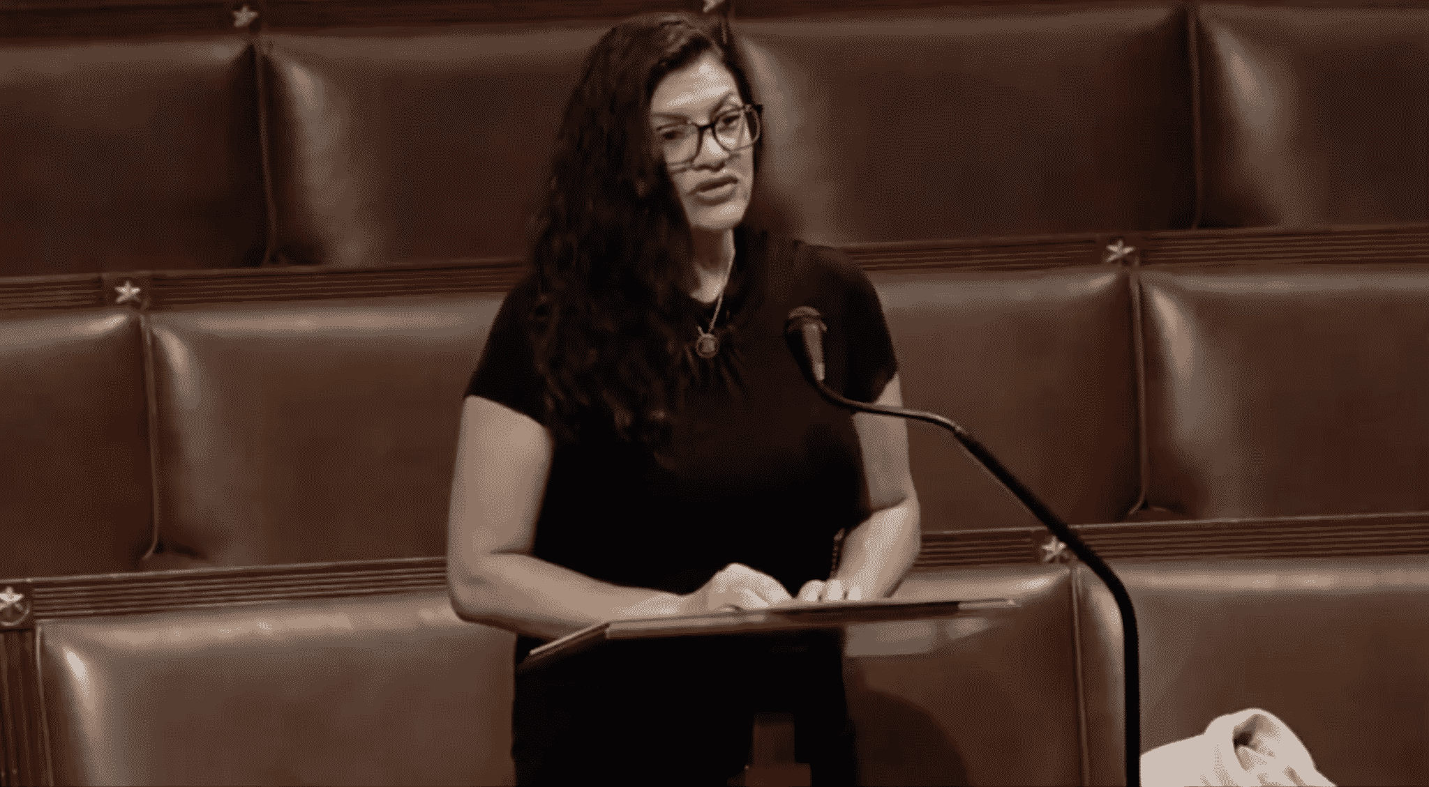 Tlaib Slams the ‘Impeached President’s Administration’ for Questioning Election Integrity