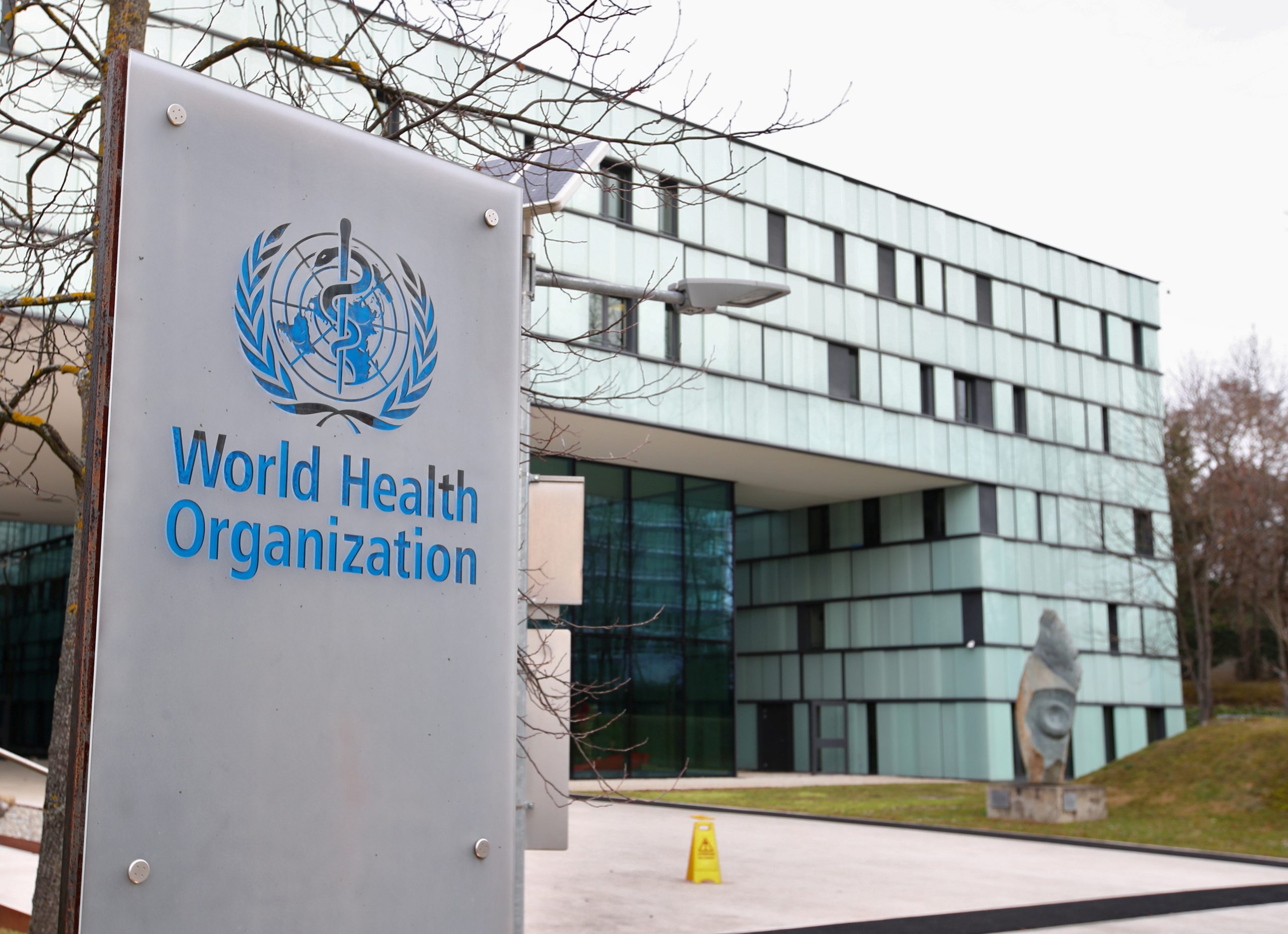 WHO Says No Need for Major Alarm Over New Coronavirus Strain