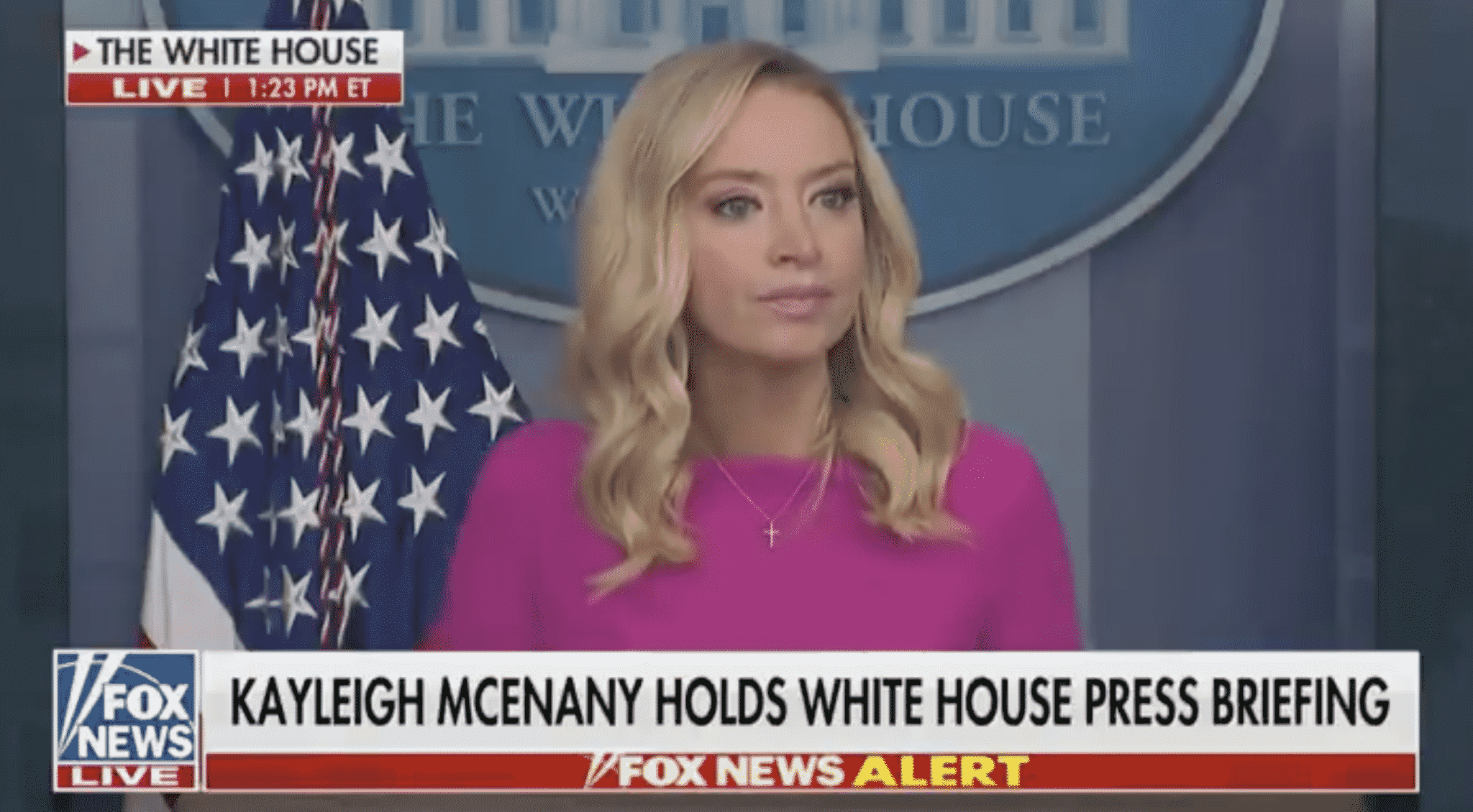 McEnany Weighs in on Threats Against Election Workers: ‘We Condemn Any Threats Against Anyone’