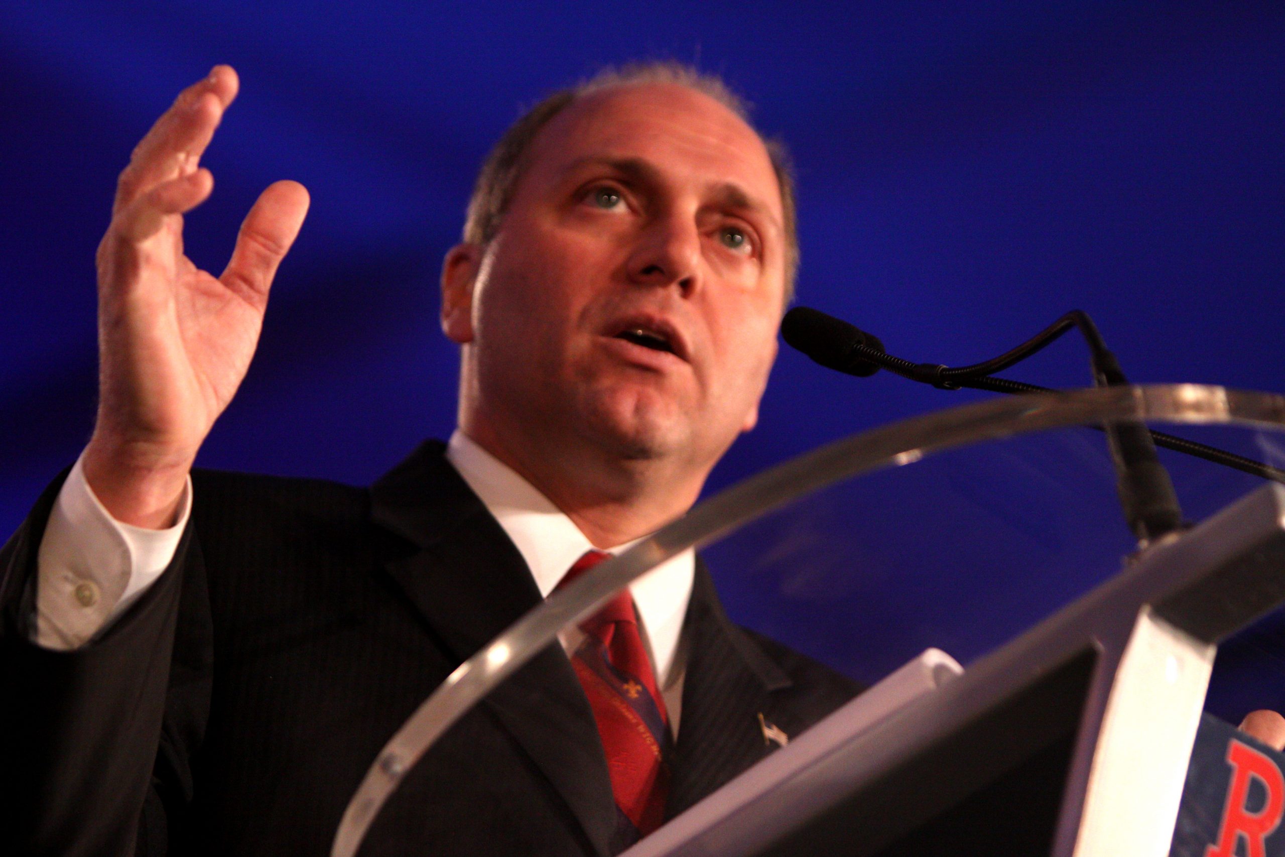 Scalise Labels Capitol Riot ‘Domestic Terrorism,’ Says Trump Should Have Denounced It in Real Time