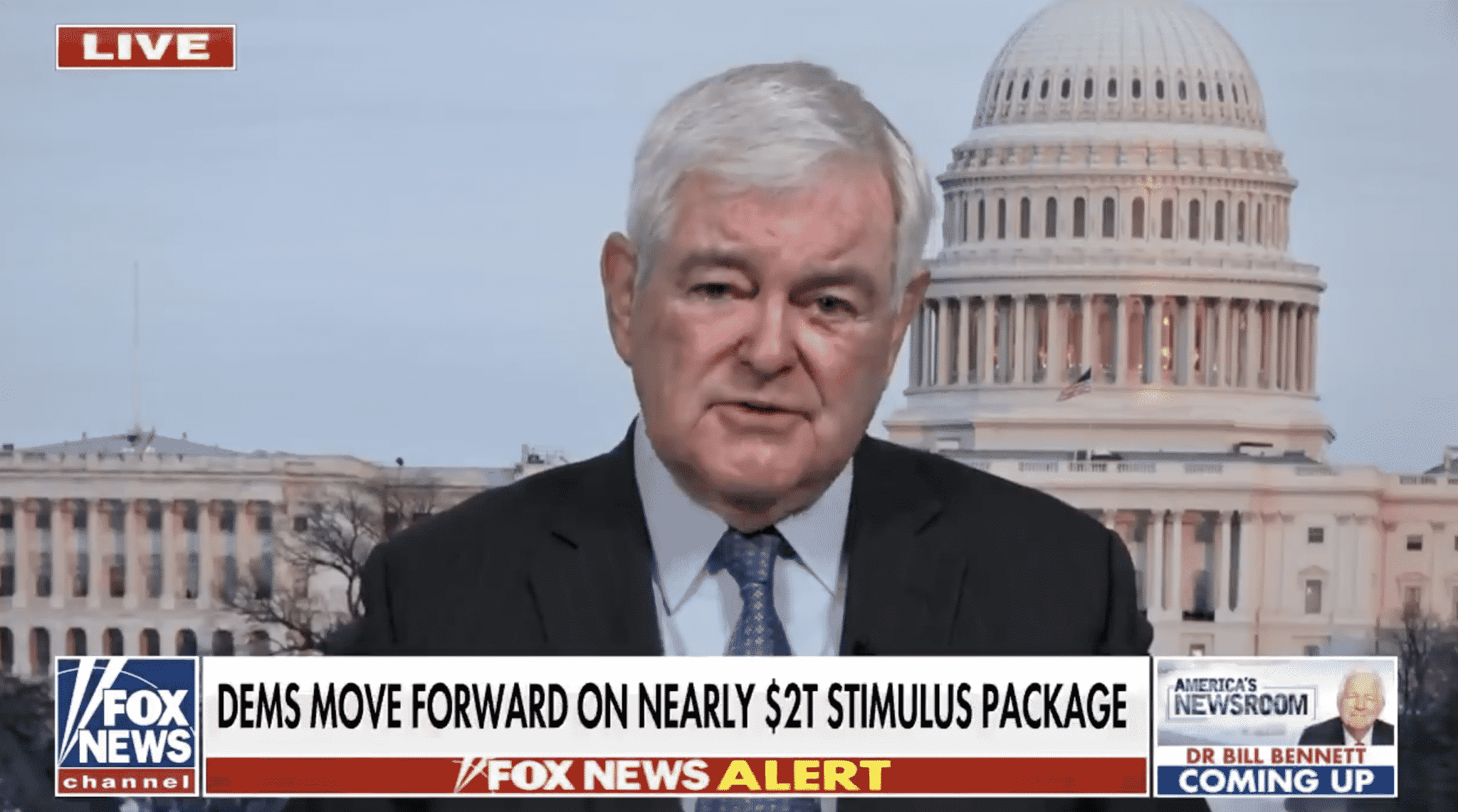 Gingrich Weighs in on Stimulus Package: Democrats ‘Will Go for Broke on a Radical Agenda’