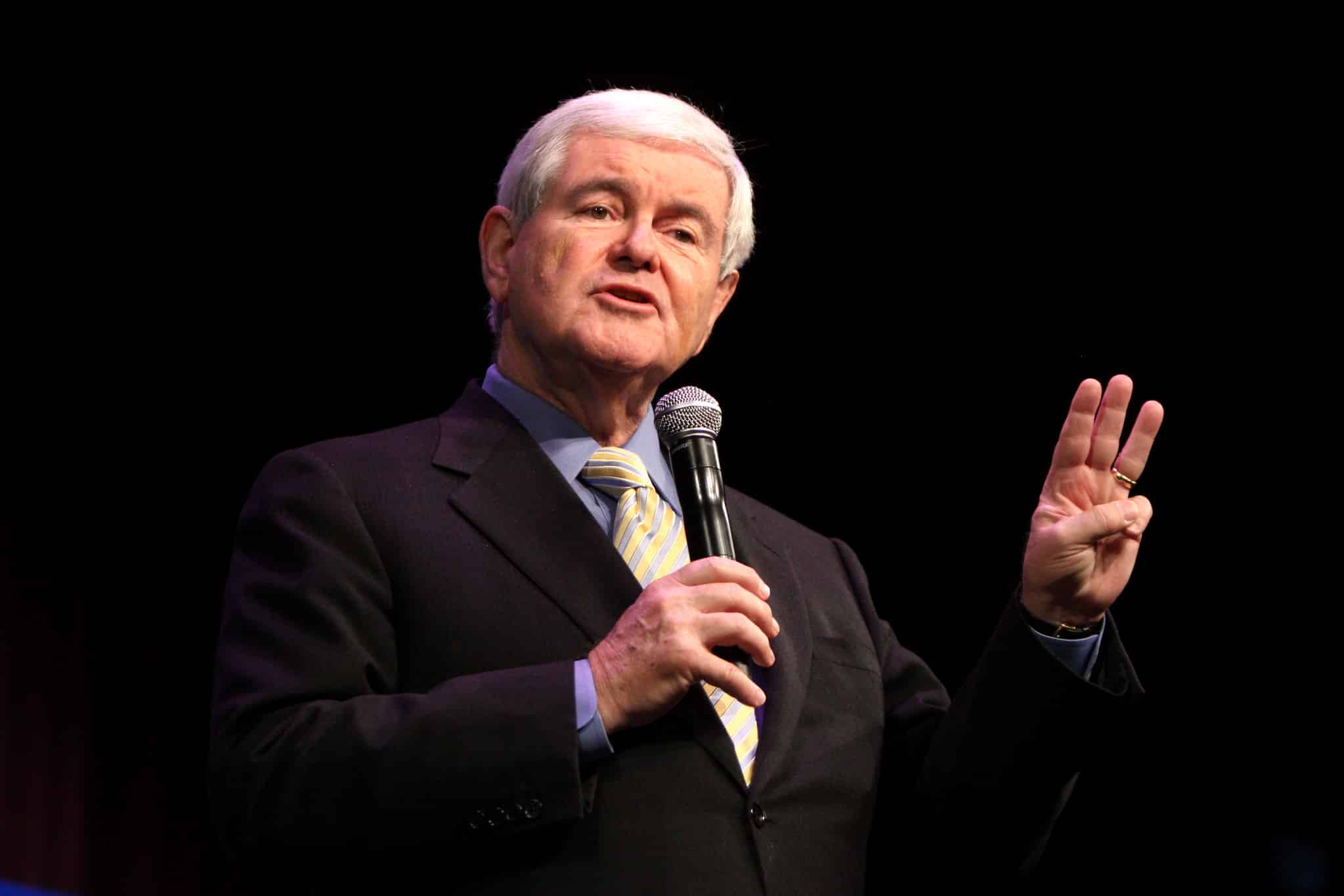 Newt Gingrich Calls Dems ‘Hypocrites’ Amid House Probe Into Results of Iowa Race