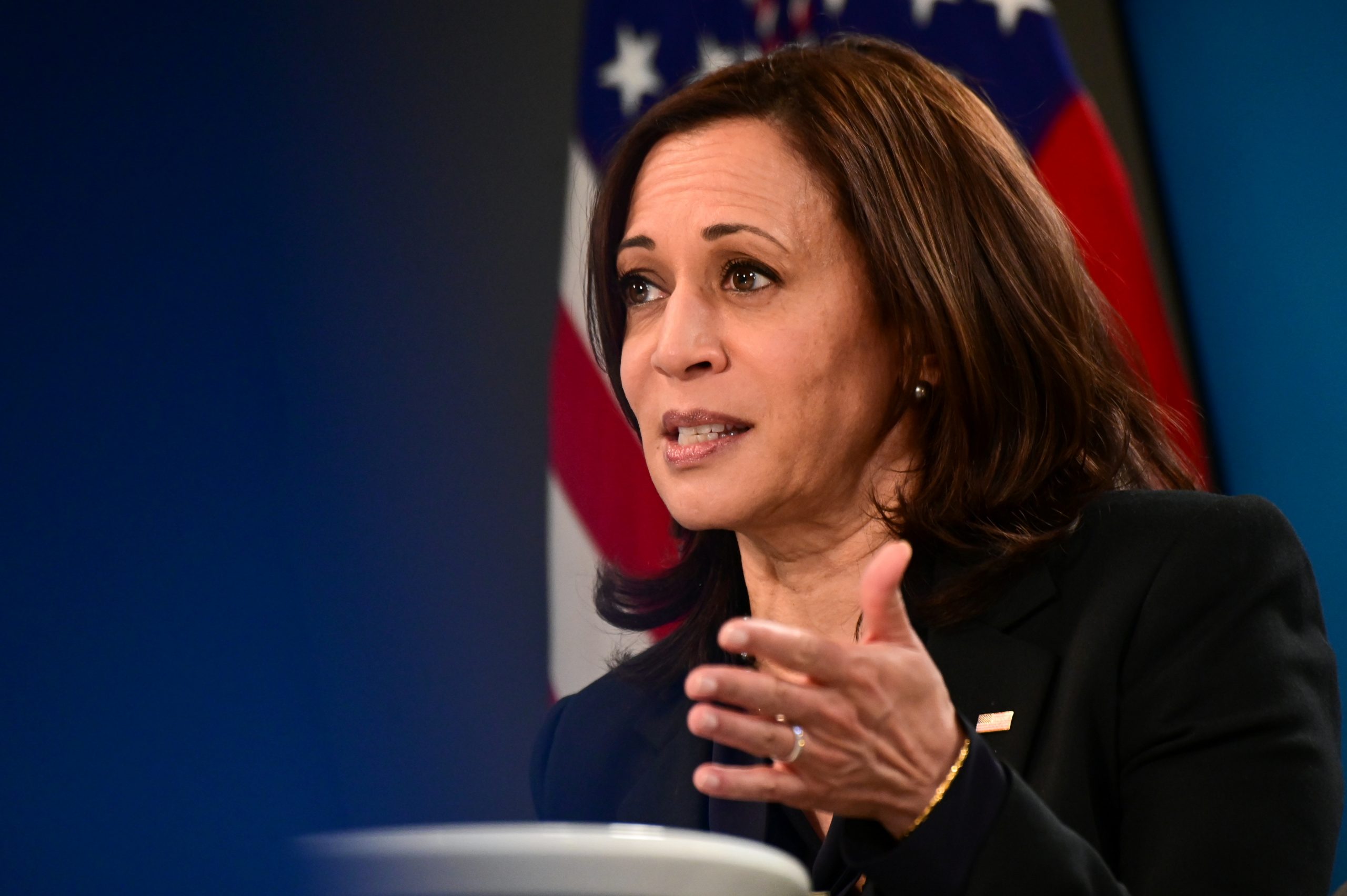 Kamala Harris Claims ‘Extreme Climate’ Is One of the ‘Root Causes’ of the Border Crisis