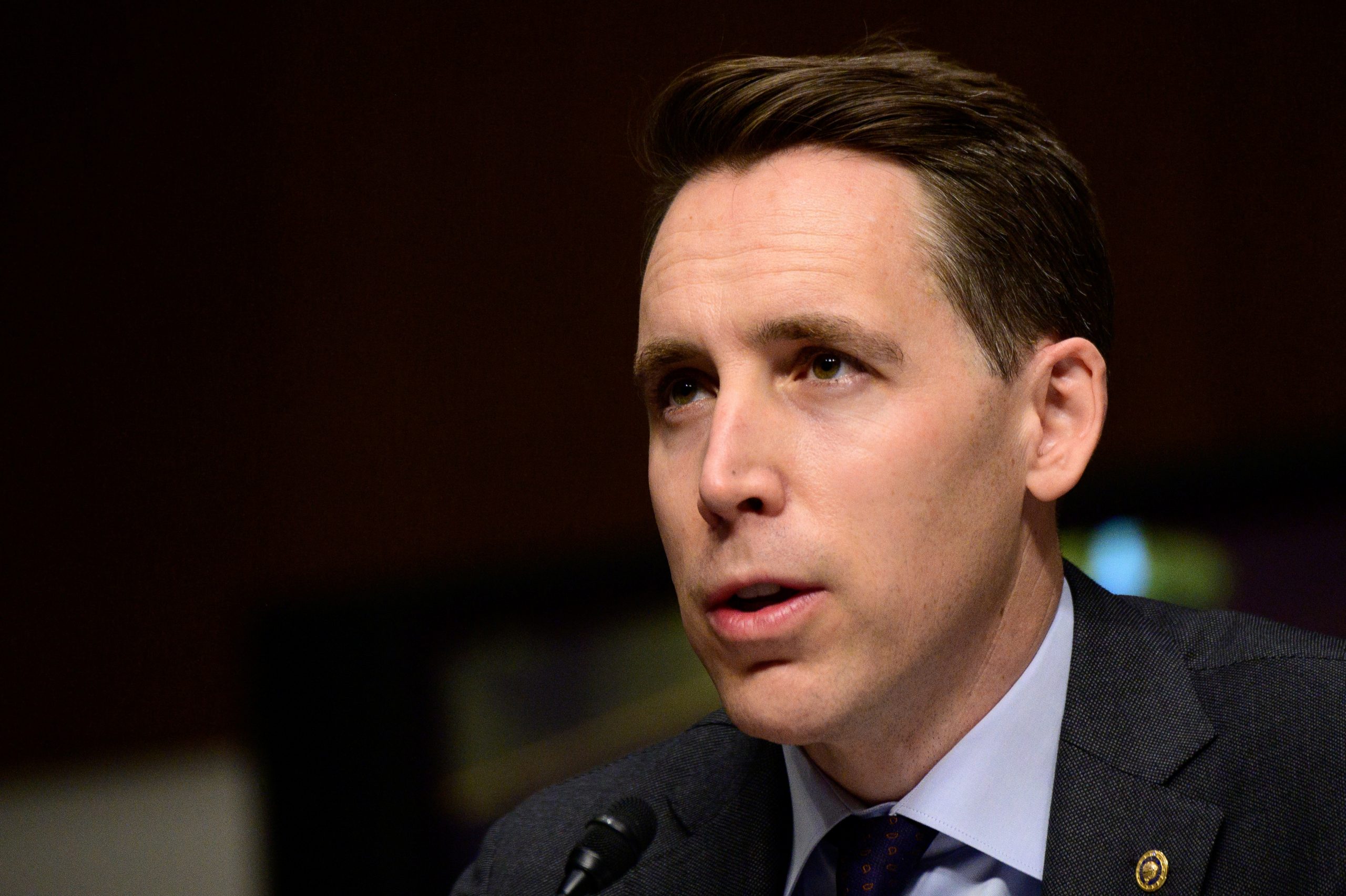 Senator Wants To Ban Big Tech From Buying Anything Ever Again