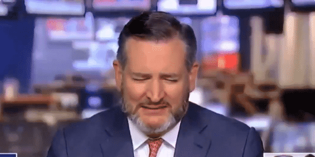 Video Clip of Cruz Interview Sparks ‘Toad Cruz’ To Trend on Twitter: ‘Ate That Fly’