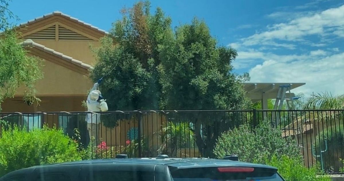 Terrifying Bee Attack from 100-Pound Hive in Arizona Takes One Man's Life, Hospitalizes Several Others