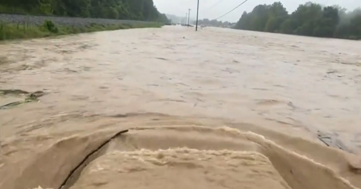 Man Sees Truck Stranded in Floodwaters, Saves Couple and 3 Dogs Before Water Can Sweep Them Away