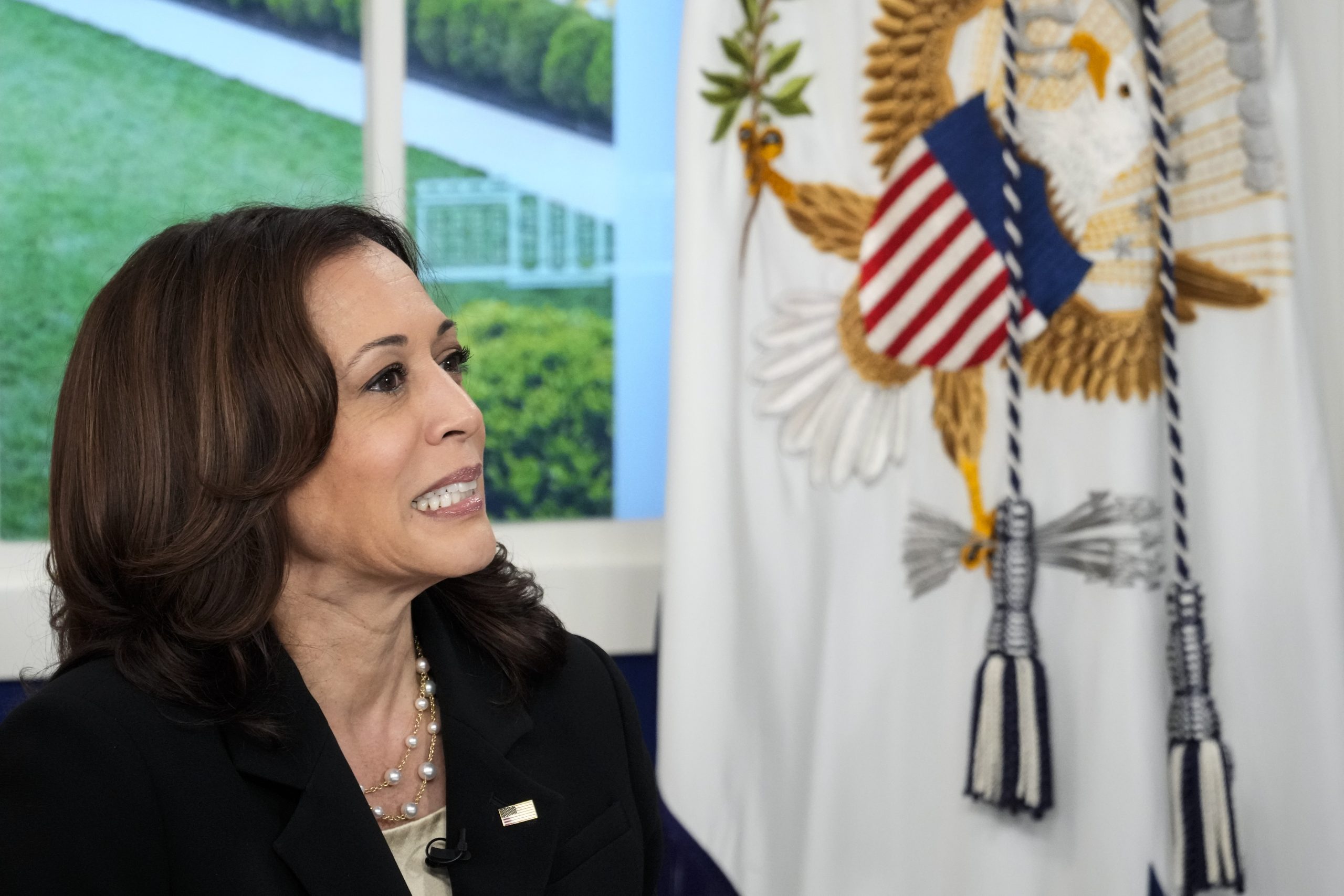Harris’ Office Reportedly Frustrated Following COVID Chaos at ‘The View’