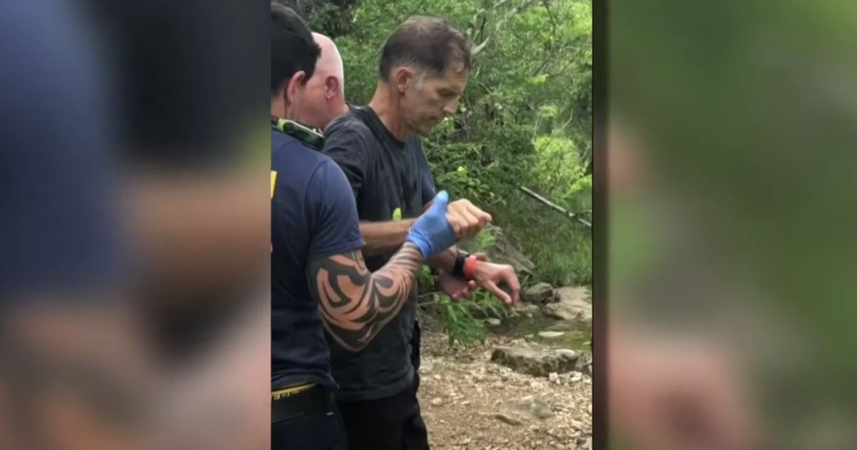 Hiker Thinks He's Brushing Yellow Jackets off Feet, Looks Down to See 'Very Large Copperhead'