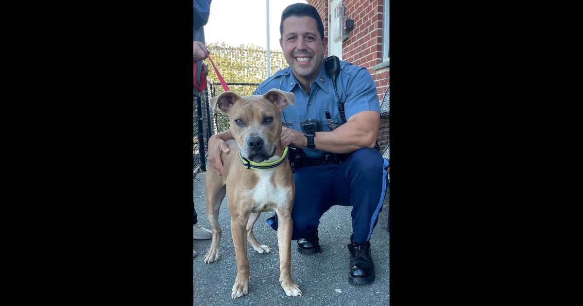 Owner Arrested After Dog Is Chained Up on Beach and Left to Drown in Rising Tide