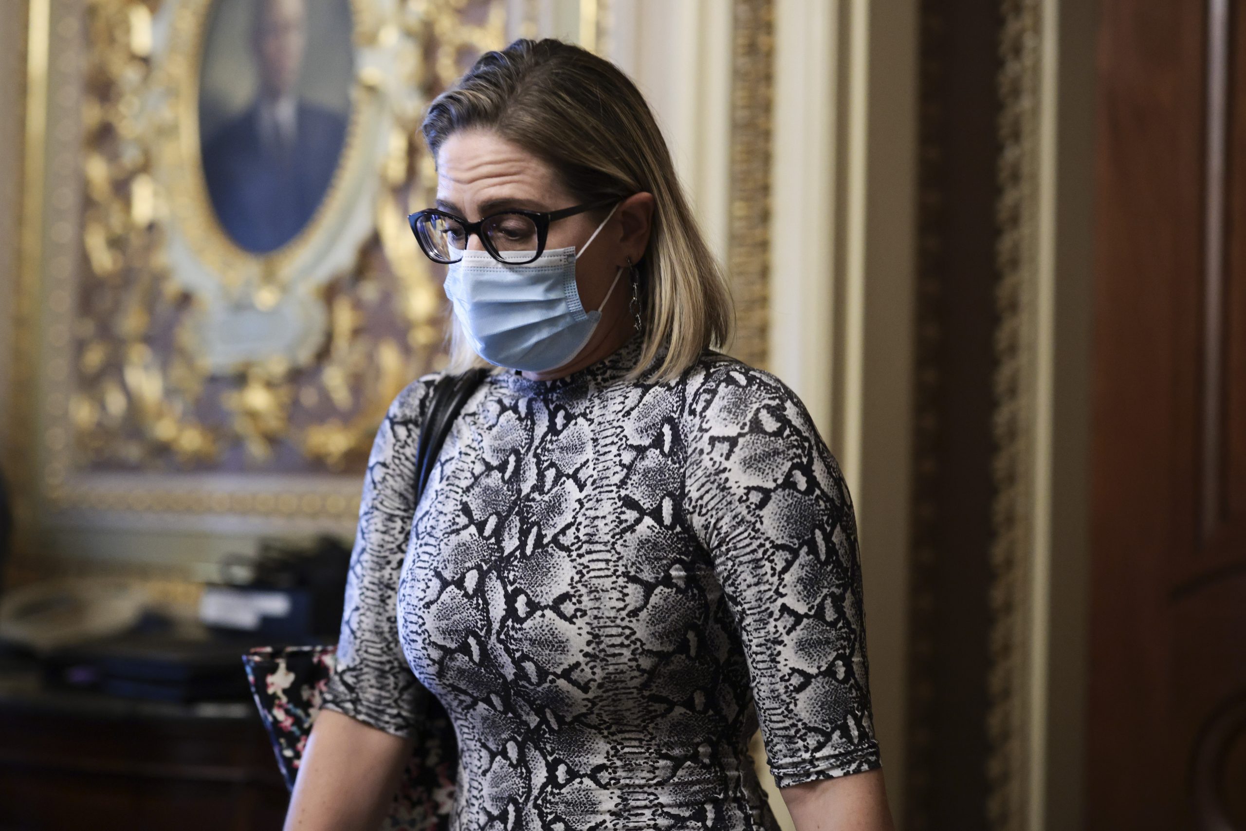 Charges Recommended Over the Viral Confrontation Between Sinema and Protesters