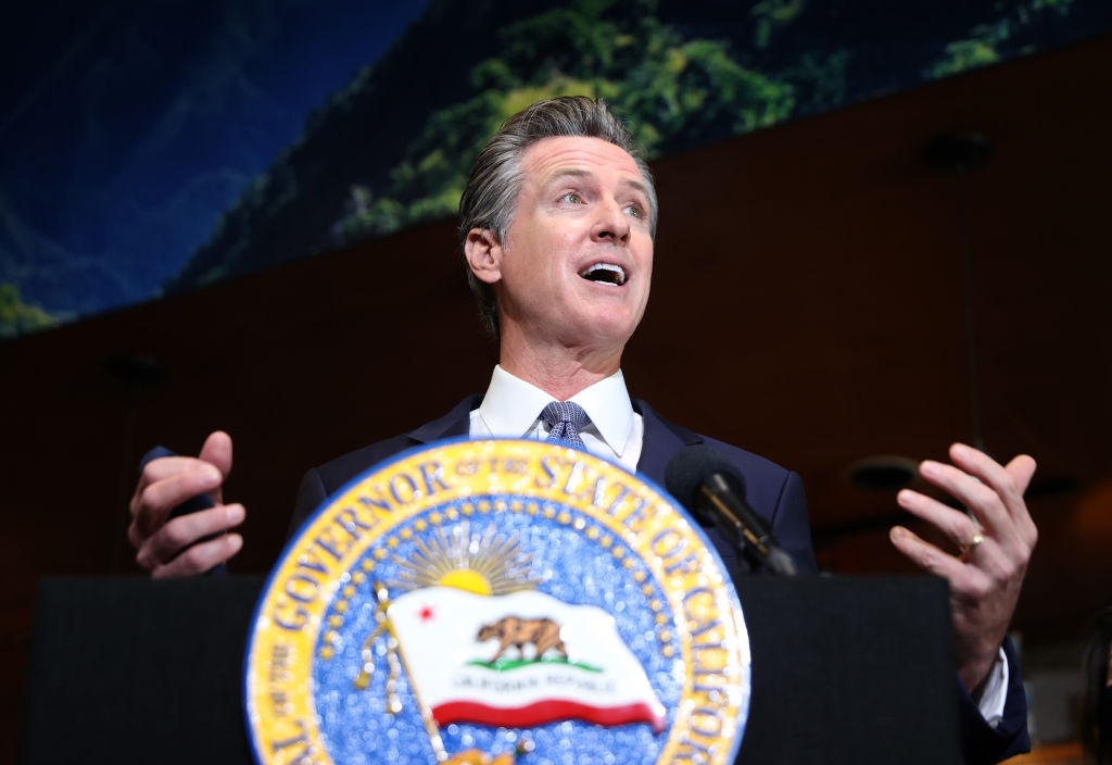 Newsom Bans Small Gas Engines: Now 50,000 Businesses Need ‘Green’ Equipment that Costs Twice as Much