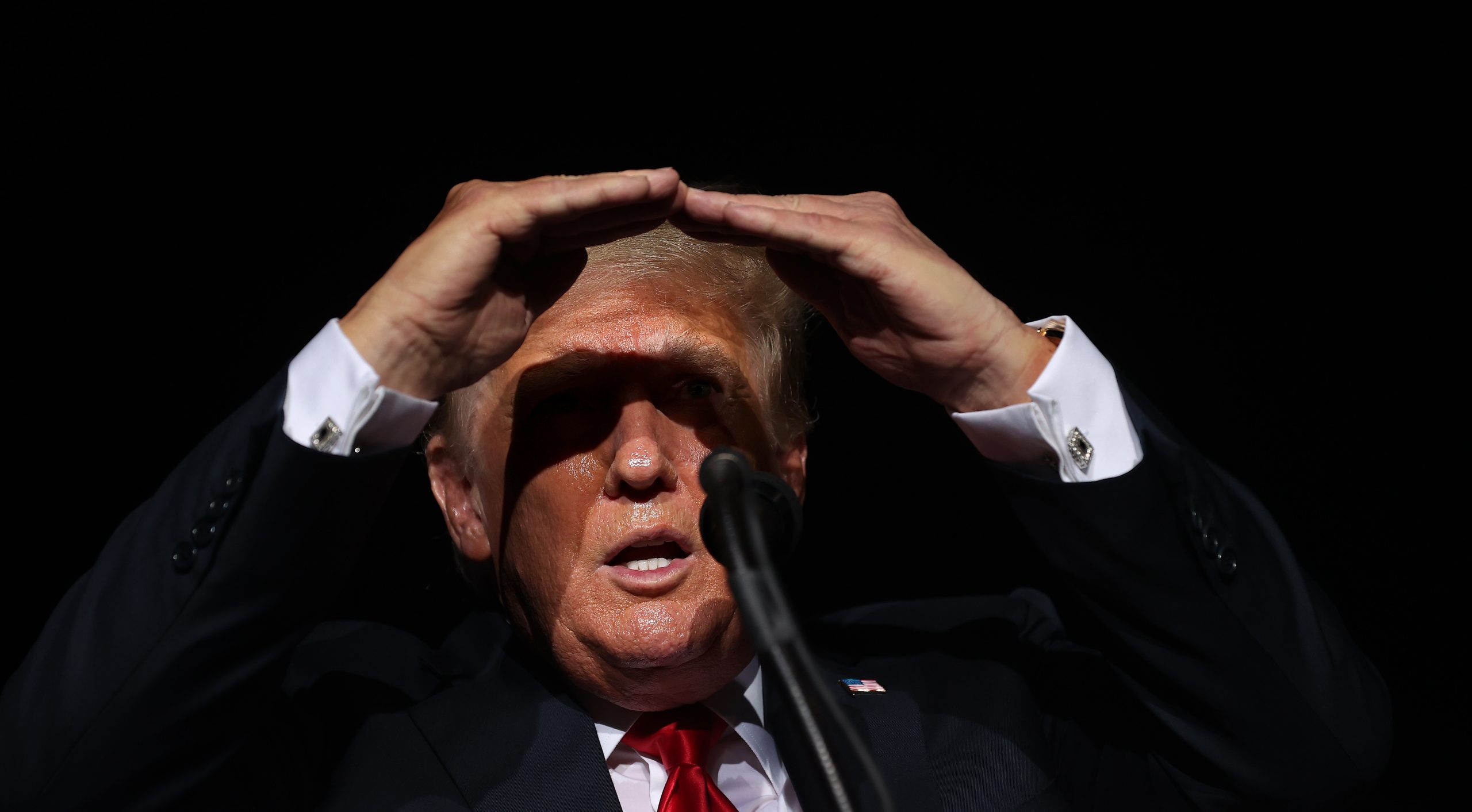 Two of Trump’s Allies Reportedly Considered Invoking the 25th Amendment To Remove Him From Office
