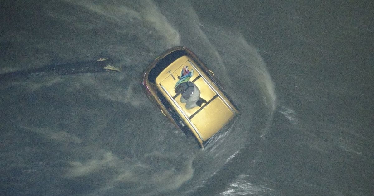 Woman and Dog Rescued Moments Before It's Too Late: Car Plunges Into River
