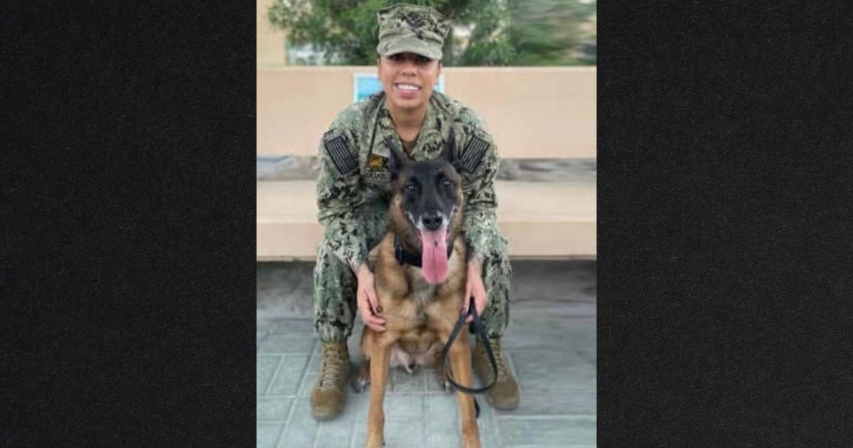 Military Dog Stranded After Heroic Service, Desperate for Ride Home to New Family