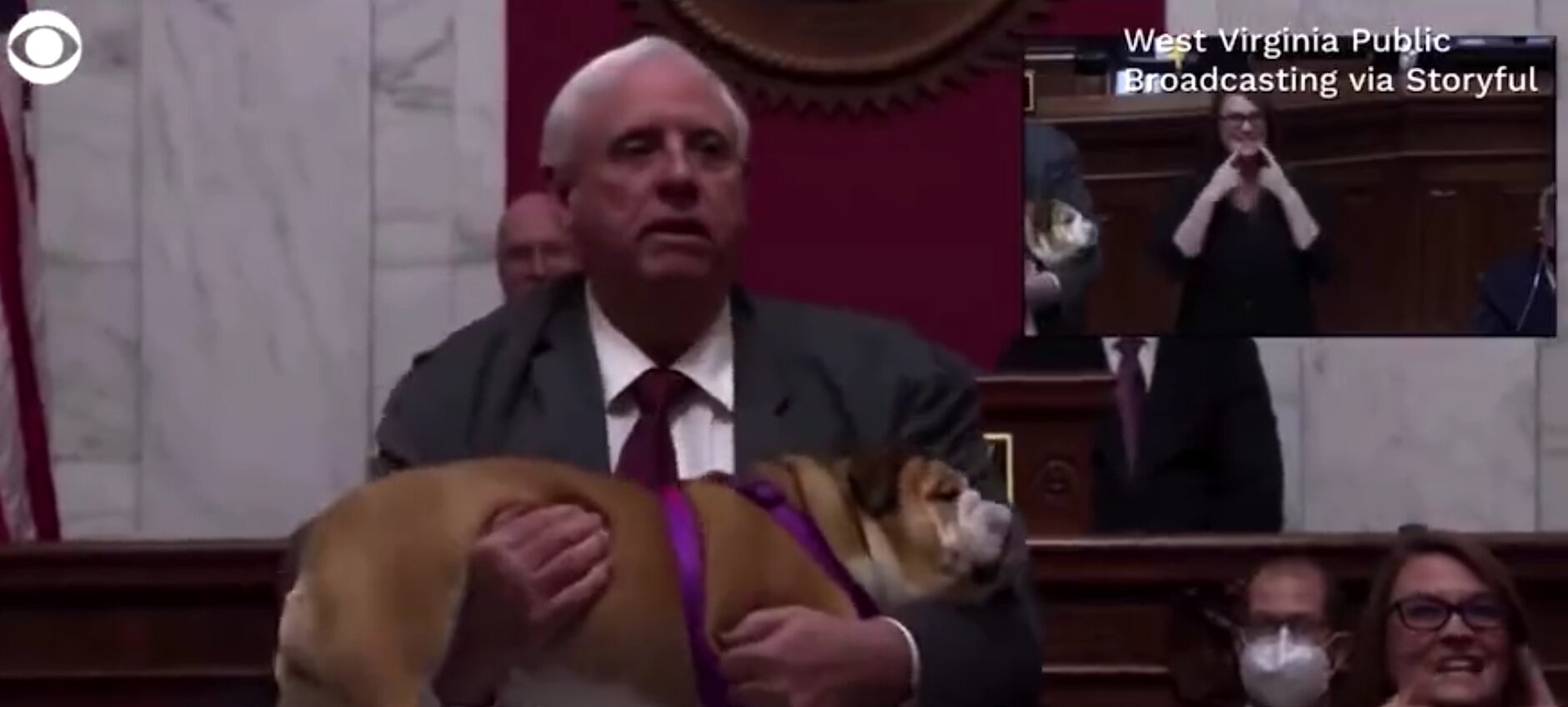 ‘Kiss Her Hiney’: Governor of West Virginia Holds Up His Bulldog to Respond to Critics