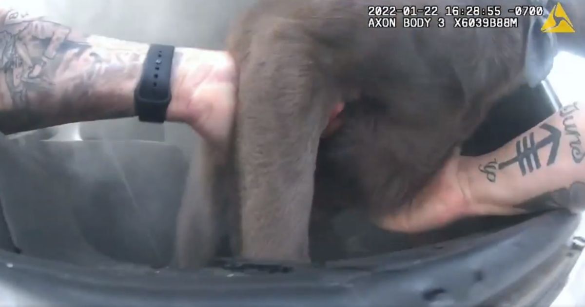 Camera Catches Moment Officer Rescues Puppy from Burning Car: Video