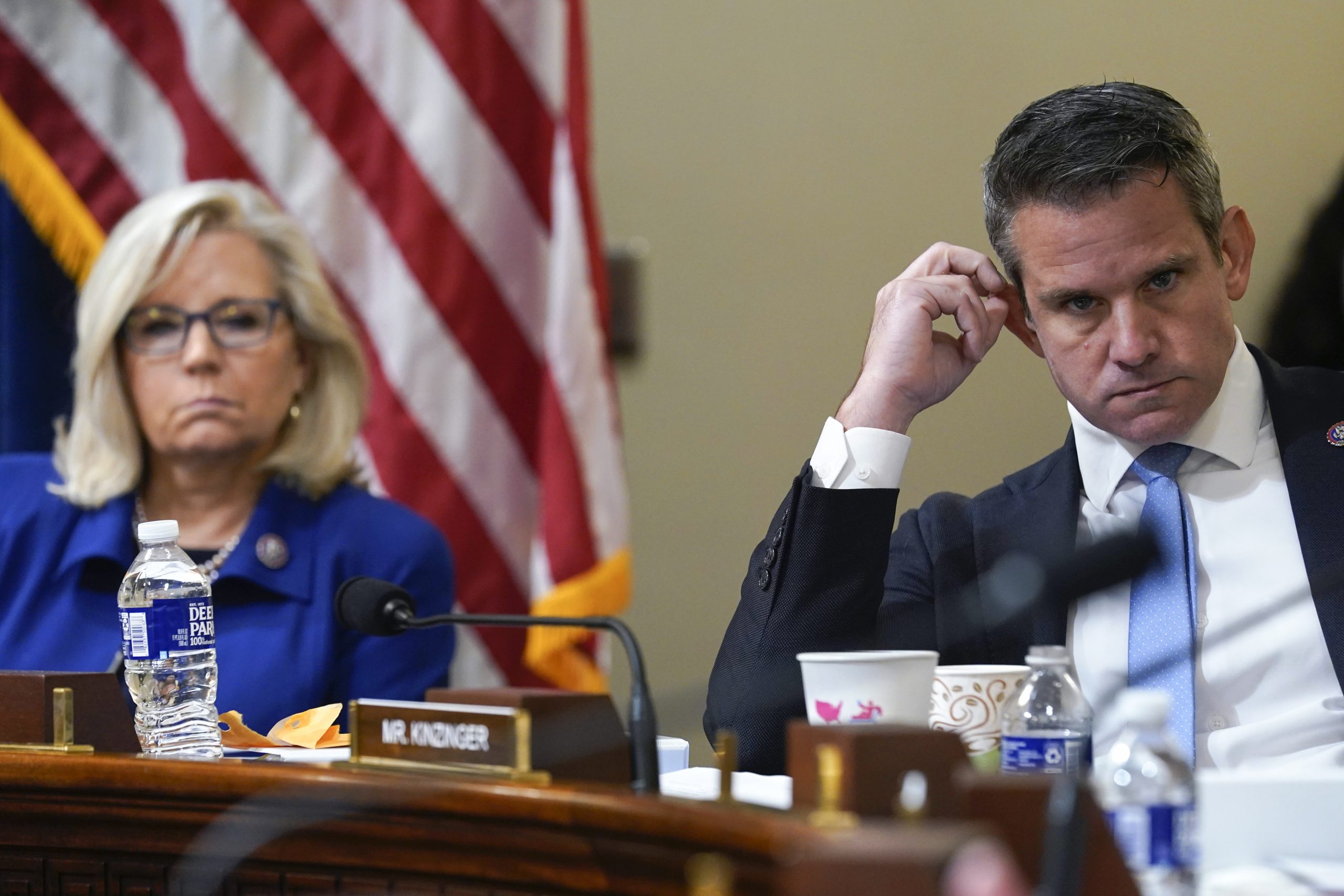 RNC Committee Members Unanimously Pass Resolution to Censure Cheney, Kinzinger
