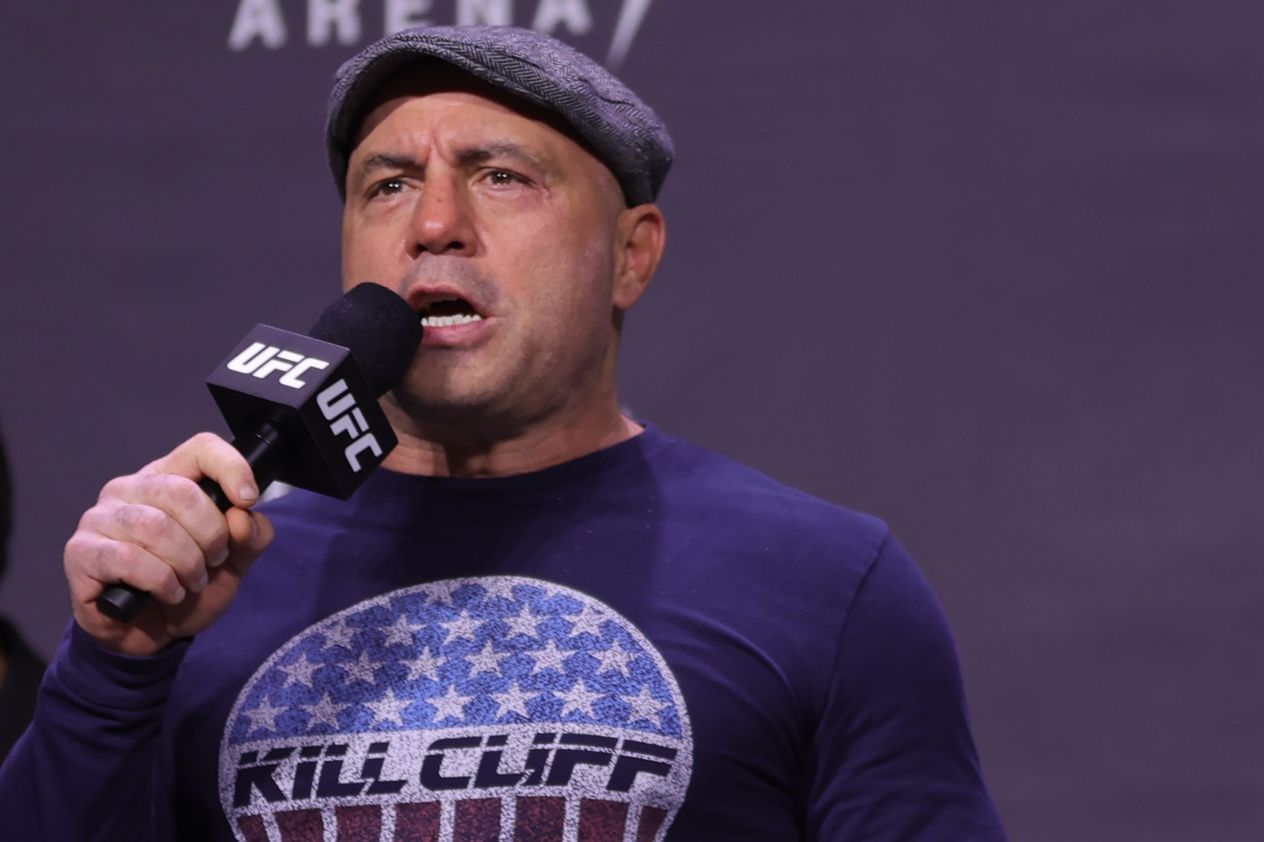Spotify CEO Addresses Joe Rogan Controversy: There Will Be ‘Beliefs That We Disagree With Strongly’