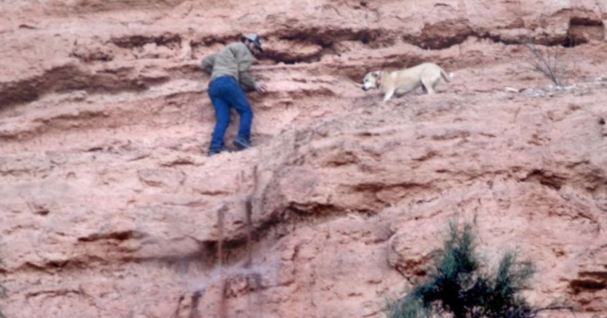 Video: Rescuers, Fire Department and Owner Come Together to Save Missing Dog Found Stuck on Cliff