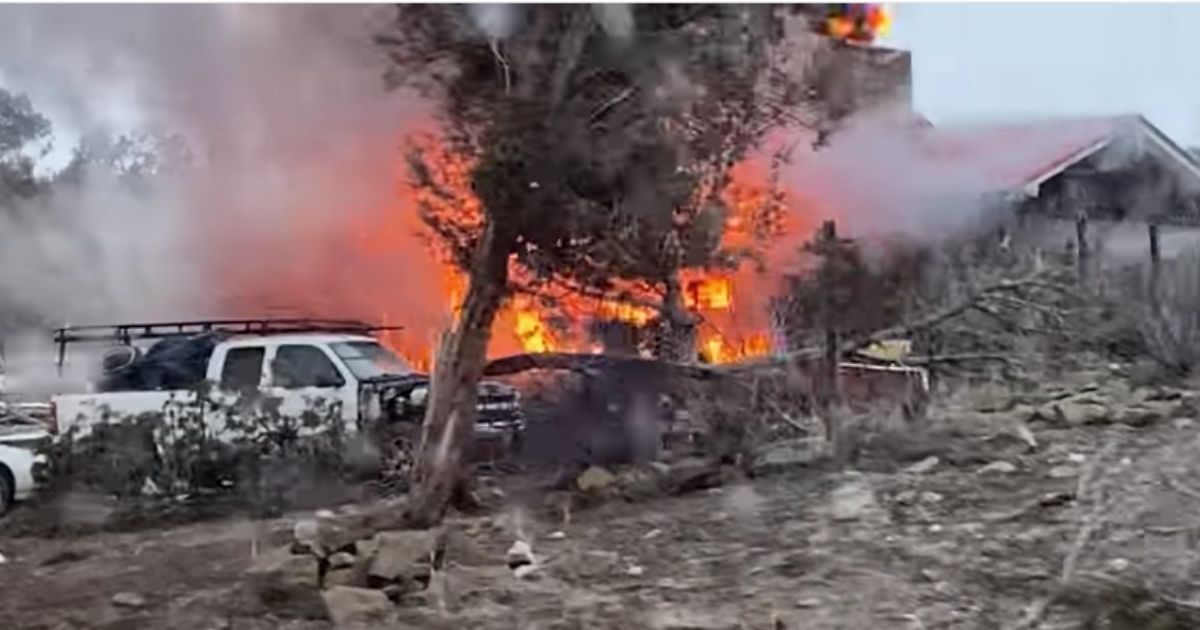 Unbelievable Photos: Firefighters Rescue Two Dogs, Cat as Fire Destroys Home