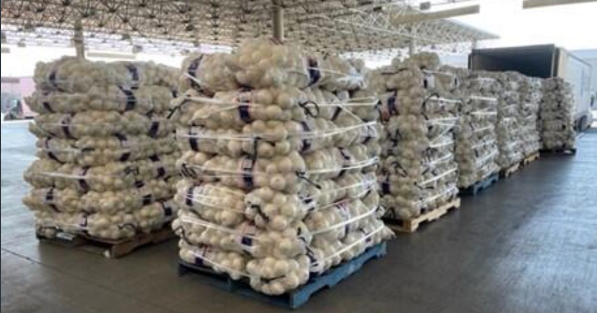 Major Haul of Meth Hidden Among Shipment of Onions, CBP Official Impressed by Cartel Camouflage