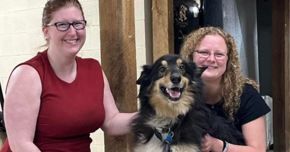 Beloved 10-Year-Old Family Dog Lost in Georgia Woods Finally Caught after 135 Days on the Run