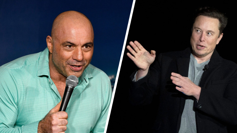 Joe Rogan Texts Elon Musk Offering to Help Him Train After Challenging Putin to Combat