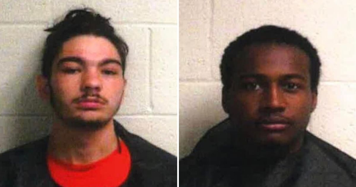 Two Men Arrested After Video Circulates Online Showing One of Them Hurling Puppies Into Lake