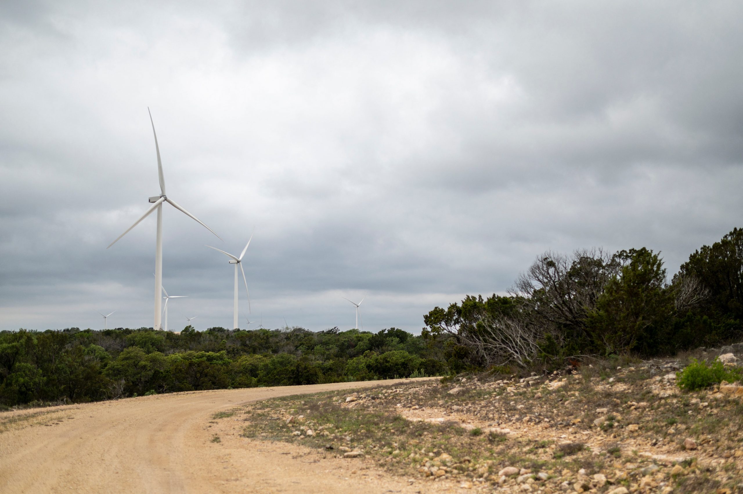 More Than 100 Bald and Golden Eagle Deaths Connected to Wind Power Developer