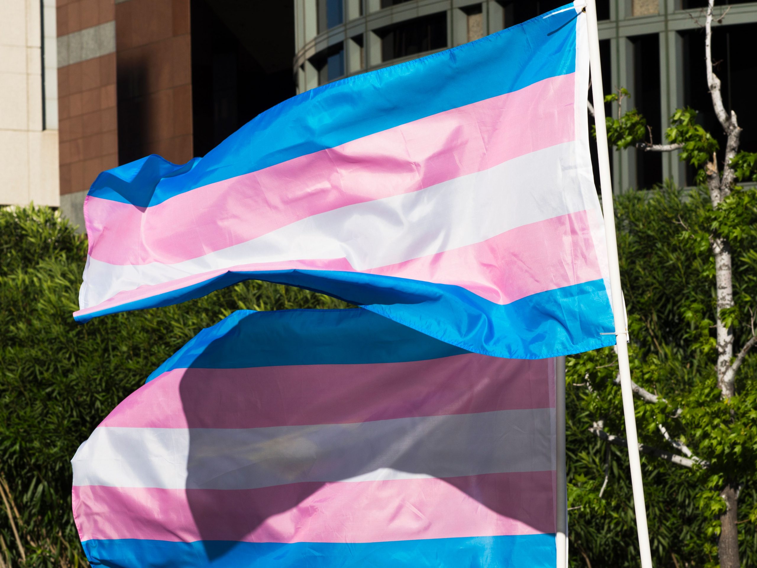 Florida Tells Doctors Not to Give Children and Teens Treatment for Social Gender Transition