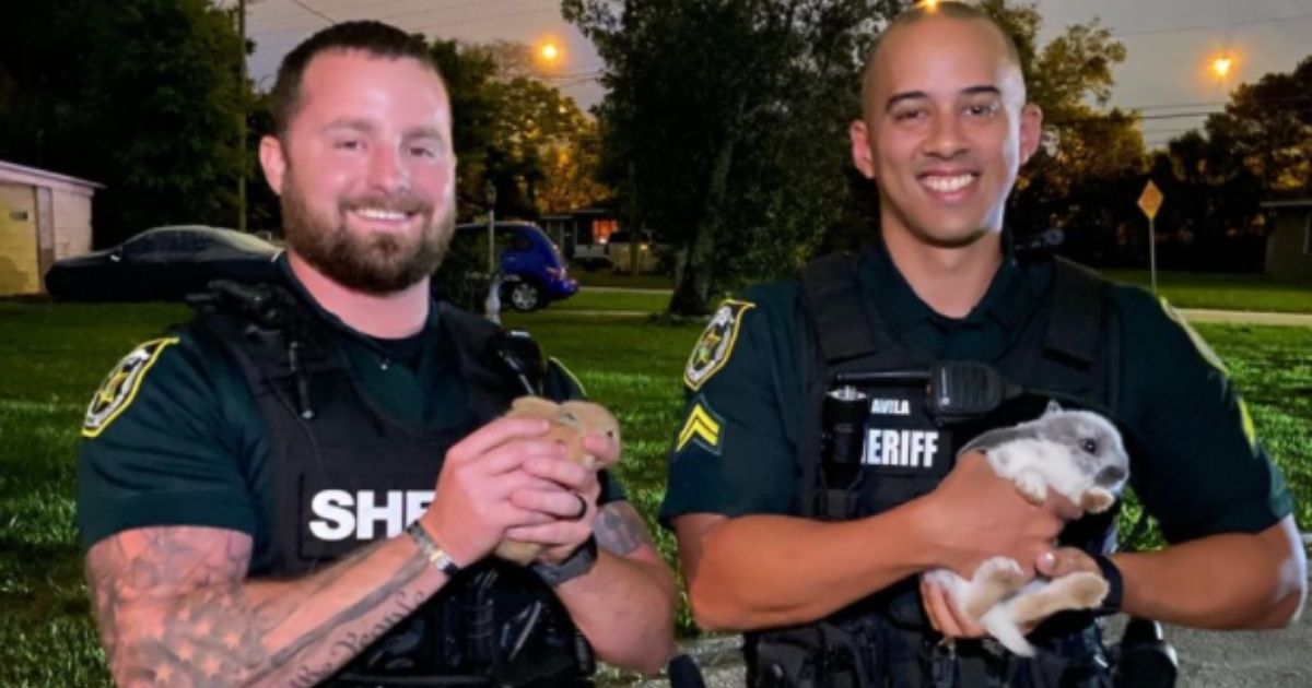 Sheriff's Office Helps with Unusual Rescue After Up to 50 Pets Reported Abandoned at Florida Park