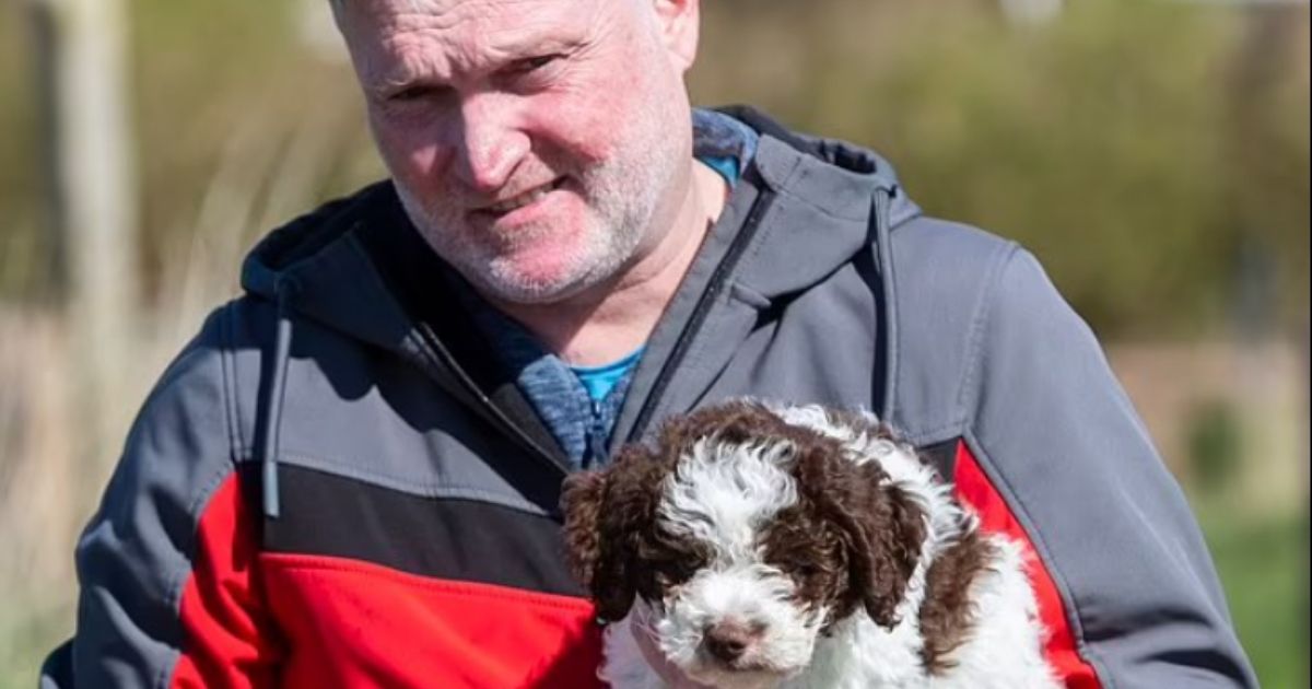 On First Walk with Family, New Puppy Digs Up Gold Coins Worth Thousands