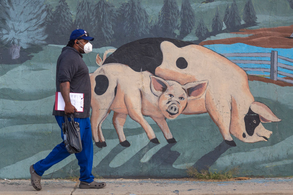 Largest Pork Company in the US Shuts Down California Plant Due to High Costs