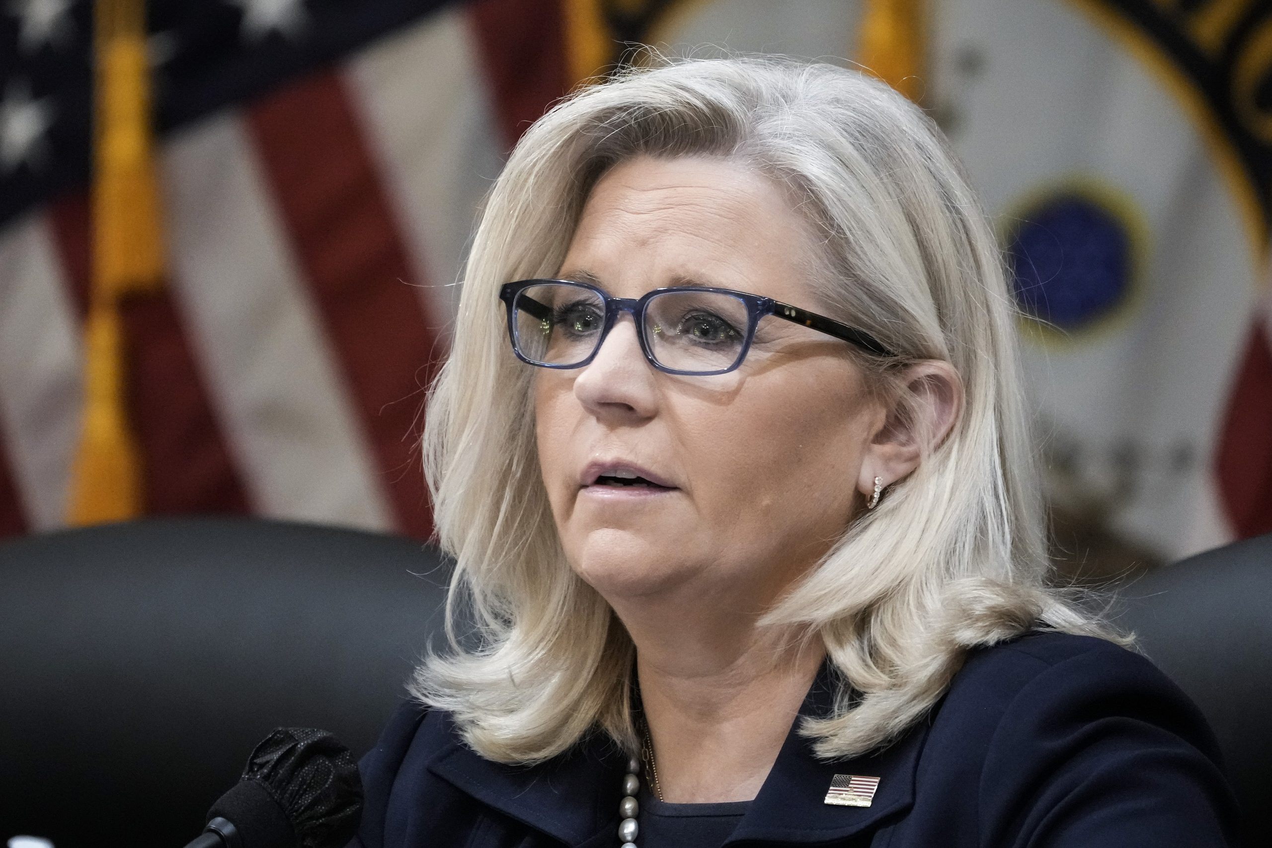 Cheney Sends Out Mailer Showing Dems How to Change Party Affiliation to Back Her in GOP Primary