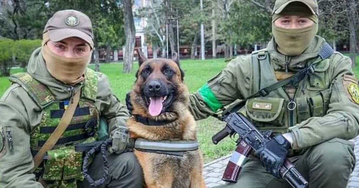 Special Forces Dog Defects to Enemy, Now Being Taught Commands in New Language