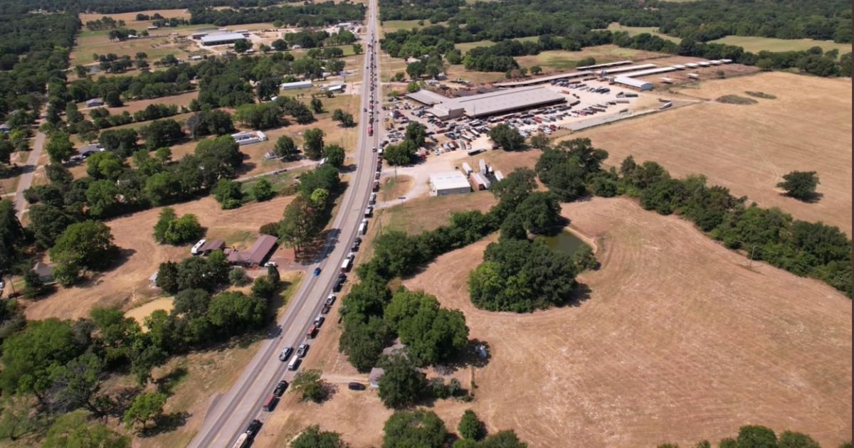 Chilling Video: Ranchers Line Up for Miles, Forced to Sell Cattle as TX Dries Up