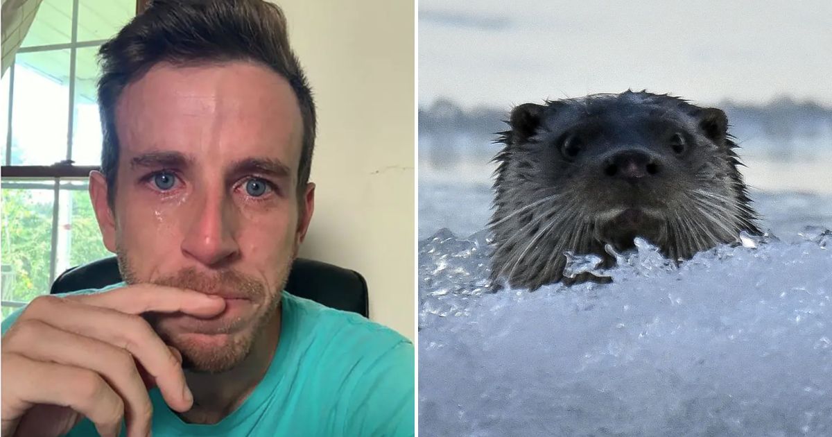 CEO Posts Crying Selfie After Layoffs, And It Doesn't Go Well for Him at All