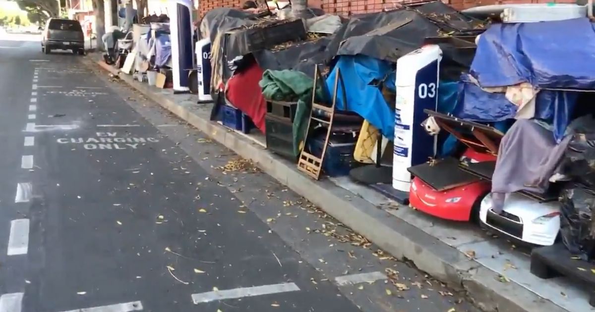 2021 Video Shows LA Electric Vehicle Chargers Rendered Basically Useless Because They're Covered in Trash