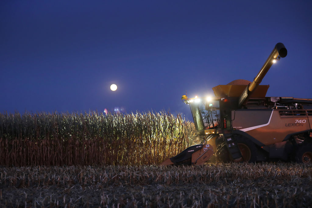Crop Scouts Travel to Iowa, Make Horrifying Discovery When They Look at Corn Fields