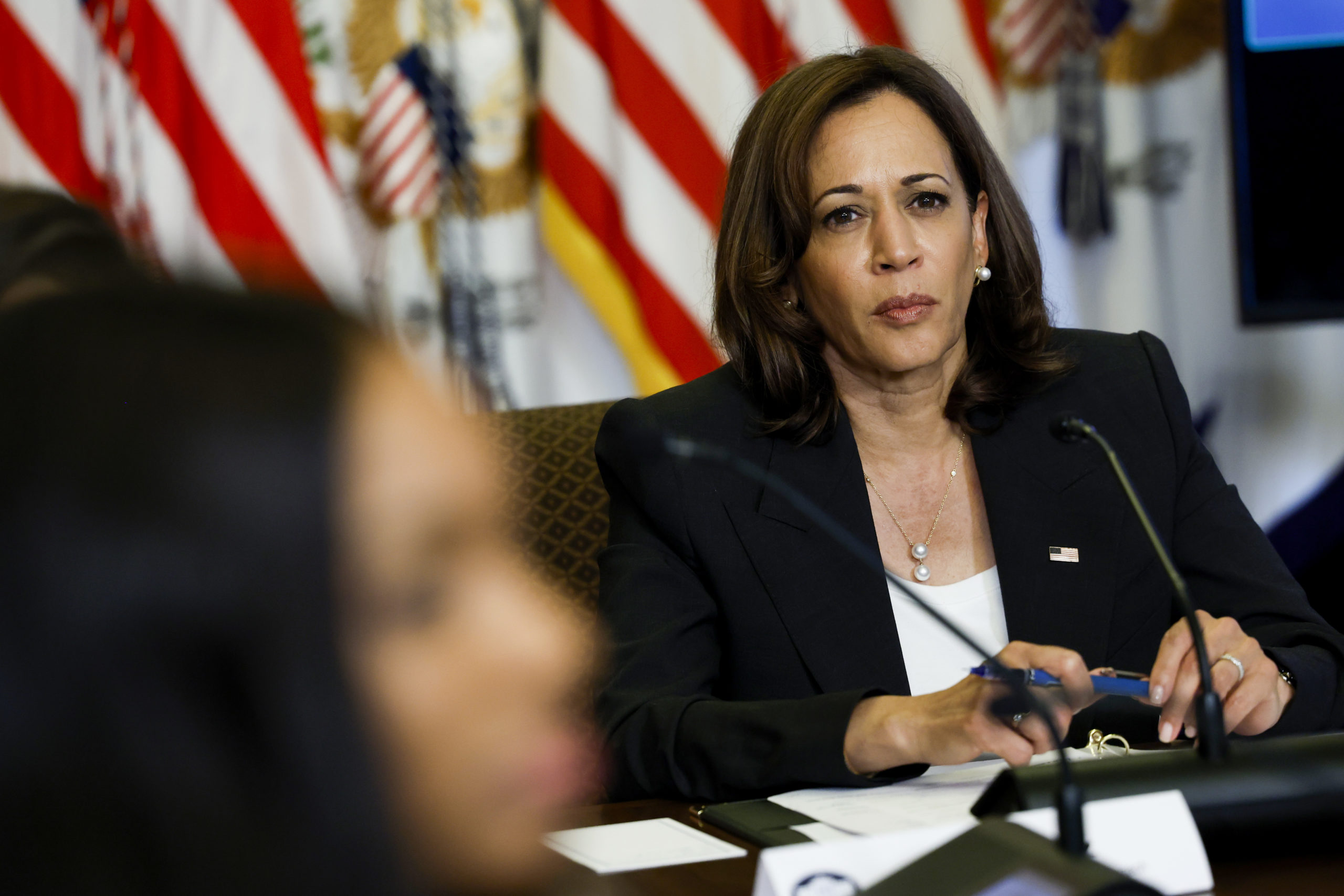 ‘She’s Dead Wrong’: Dem Lawmaker Criticizes Kamala Harris for Her Comments on the Border