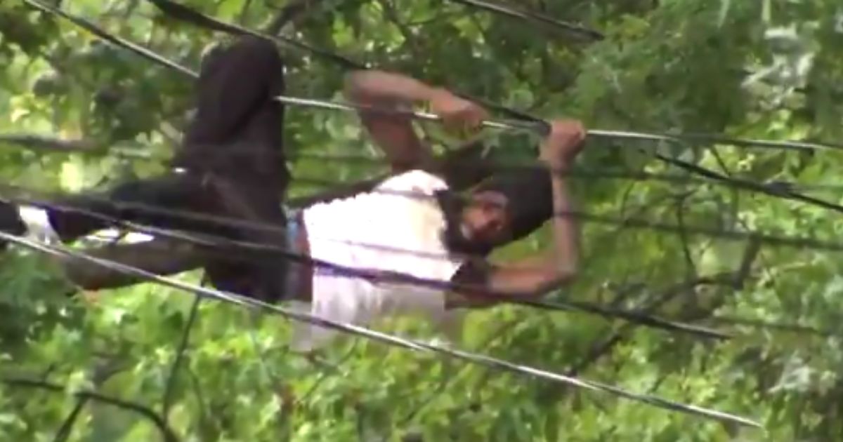 Video: Alarming Moment Fleeing DC Suspect Climbs Across Power Lines Trying to Evade Police